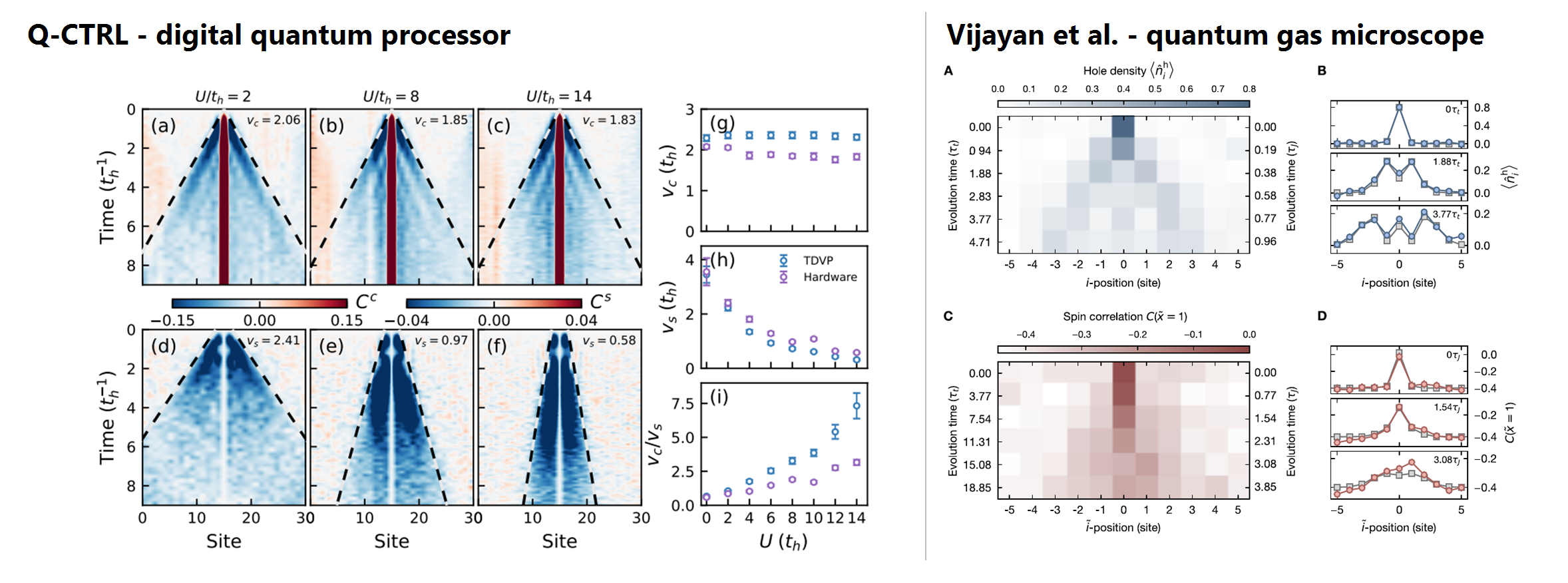 Q-CTRL and IBM digital quantum processor compared with the Vijayan quantum-gas-microscope experiment for 1D Fermi-Hubbard dynamics